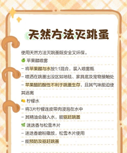 古树防治跳蚤,找准问题根源,掌握有效方法 古树防治跳蚤,找准问题根源,掌握有效方法