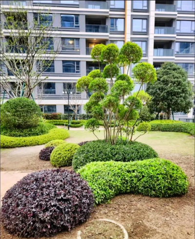 惠州绿化苗木设计建造,打造宜居环境,提升城市品质 惠州绿化苗木设计建造,打造宜居环境,提升城市品质
