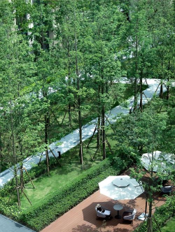 福建木架立体绿化设计,提升空间美感,打造生态景观 福建木架立体绿化设计,提升空间美感,打造生态景观