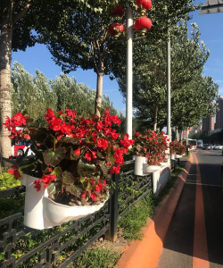 山西仿真立体绿化设计,提升城市美观,改善居住环境 山西仿真立体绿化设计,提升城市美观,改善居住环境