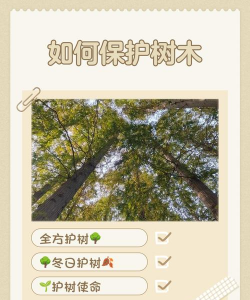 防治滑坡的树有哪些树,稳固坡面选择,生态修复关键 防治滑坡的树有哪些树,稳固坡面选择,生态修复关键