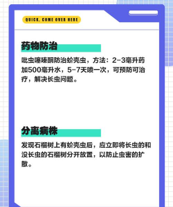 石榴树咋样防治腻虫树,常见问题分析,实用方法分享 石榴树咋样防治腻虫树,常见问题分析,实用方法分享