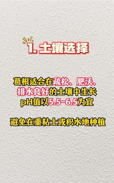 葛根的栽培,掌握关键步骤,轻松收获优质根茎 葛根的栽培,掌握关键步骤,轻松收获优质根茎