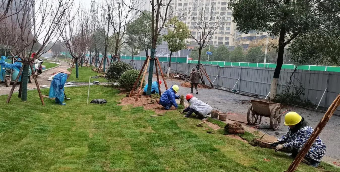 铜陵屋顶绿化设计施工,提升城市生态,打造绿色空间 铜陵屋顶绿化设计施工,提升城市生态,打造绿色空间