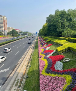 北京公路绿化设计,提升城市形象,改善出行体验 北京公路绿化设计,提升城市形象,改善出行体验