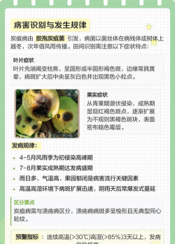 柘榴树病虫防治,常见问题识别,有效应对方法 柘榴树病虫防治,常见问题识别,有效应对方法