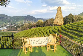 茶园周边绿化设计公司,打造生态景观,提升茶园价值 茶园周边绿化设计公司,打造生态景观,提升茶园价值