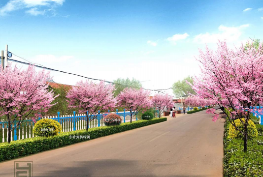 景区绿化风景花树设计,提升游览体验,打造生态景观 景区绿化风景花树设计,提升游览体验,打造生态景观