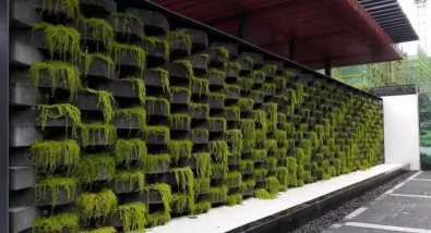 辽宁围栏立体绿化设计,提升城市颜值,打造生态屏障 辽宁围栏立体绿化设计,提升城市颜值,打造生态屏障