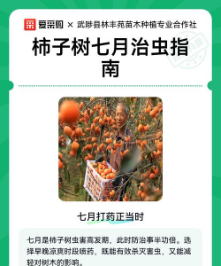 柿树蝇蜂防治,识别害虫特征,掌握有效方法 柿树蝇蜂防治,识别害虫特征,掌握有效方法