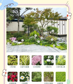 台州绿化花园设计品牌,选择要点,风格匹配 台州绿化花园设计品牌,选择要点,风格匹配