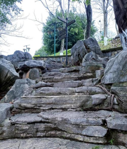 重庆现代立体绿化设计,提升城市生态,打造宜居空间 重庆现代立体绿化设计,提升城市生态,打造宜居空间