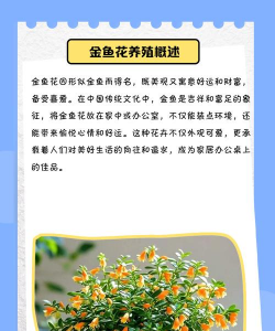 金转花怎么养,新手入门指南,轻松掌握养护技巧 金转花怎么养,新手入门指南,轻松掌握养护技巧