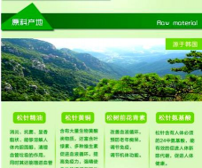 松树树油怎么防治,常见问题解析,实用方法分享 松树树油怎么防治,常见问题解析,实用方法分享