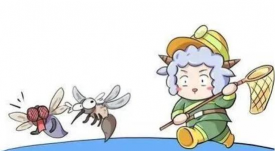 葡萄树苍蝇防治,常见问题解析,实用方法分享 葡萄树苍蝇防治,常见问题解析,实用方法分享