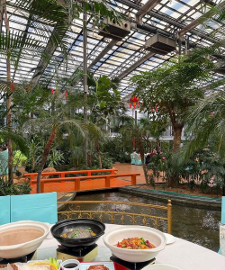 绿化效果的包厢设计,提升用餐体验,营造自然氛围 绿化效果的包厢设计,提升用餐体验,营造自然氛围