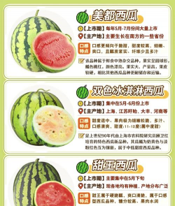 黑美人西瓜栽培技术,掌握关键要点,轻松实现高产优质 黑美人西瓜栽培技术,掌握关键要点,轻松实现高产优质