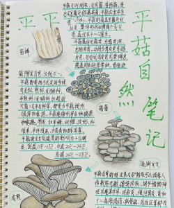 菇菇栽培研究室四季版,新手入门指南,常见问题解答 菇菇栽培研究室四季版,新手入门指南,常见问题解答