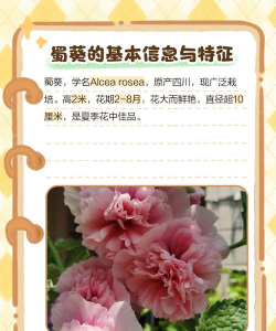 蜀葵树虫害防治药,常见虫害识别,用药选择建议 蜀葵树虫害防治药,常见虫害识别,用药选择建议