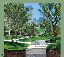 海绵城市路面绿化设计,提升城市生态,优化雨水管理 海绵城市路面绿化设计,提升城市生态,优化雨水管理