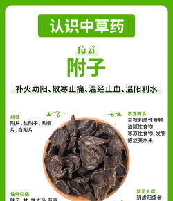 附子栽培,掌握关键技巧,提升种植效益 附子栽培,掌握关键技巧,提升种植效益