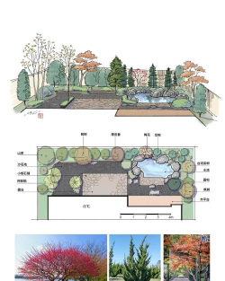 绿化设计平面鱼池图,打造庭院美景,提升生活品质 绿化设计平面鱼池图,打造庭院美景,提升生活品质