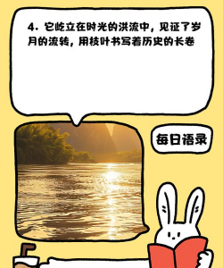 古树病害防治工作,常见问题解析,实用应对策略 古树病害防治工作,常见问题解析,实用应对策略