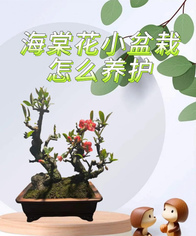 玖瑰海棠花怎么养好,掌握关键技巧,轻松养出好状态 玖瑰海棠花怎么养好,掌握关键技巧,轻松养出好状态