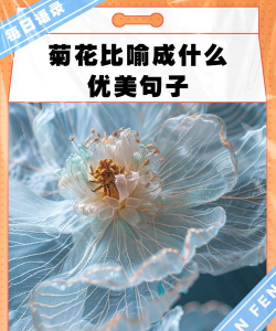 形容老了想养花的词 形容老了想养花的词