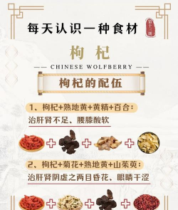枸杞保健知识 枸杞保健知识