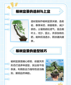 盆栽榆树有什么好处 盆栽榆树有什么好处