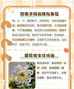 养菊多年为什么不开花 养菊多年为什么不开花