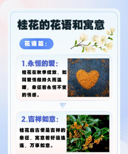 桂花有什么寓意吗 桂花有什么寓意吗
