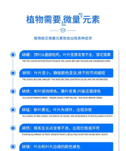 有机肥料养花配方表 有机肥料养花配方表