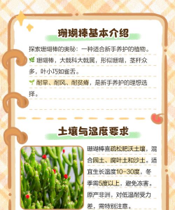 珊瑚棒怎么养殖方法 珊瑚棒怎么养殖方法