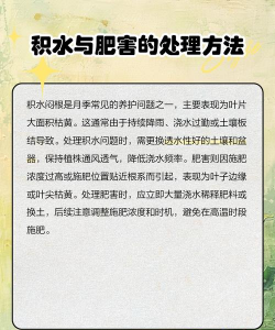 花叶子为什么变软了 花叶子为什么变软了