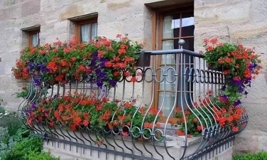 扶手养花草 扶手养花草