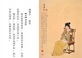 养花的诗人 养花的诗人