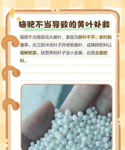 花叶发黄不绿缺什么 花叶发黄不绿缺什么