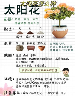 怎么养花在哪里学 怎么养花在哪里学