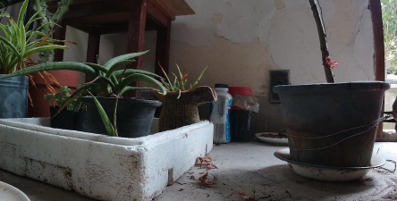 花盆破了用铁丝怎么补 花盆破了用铁丝怎么补