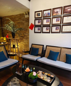 道长研究养花 道长研究养花