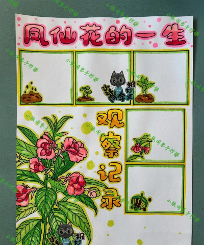 凤仙花怎么种呢 凤仙花怎么种呢