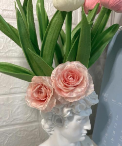 柚子皮 养花 柚子皮 养花