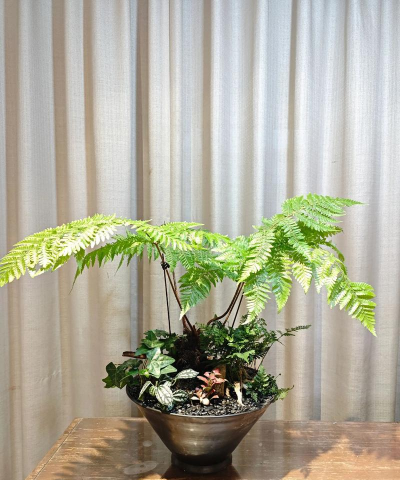 花卉的组合盆栽制作方法 花卉的组合盆栽制作方法