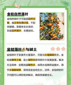 盆栽会落叶是什么原因 盆栽会落叶是什么原因