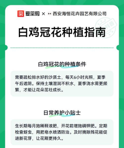 鸡冠花栽培指南 鸡冠花栽培指南