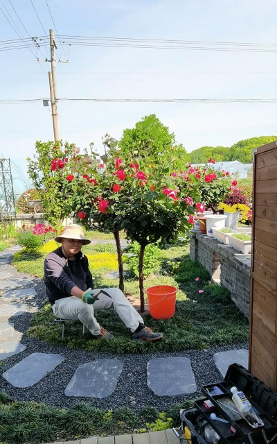 花农生活养花 花农生活养花