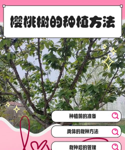 樱桃的繁殖方法 樱桃的繁殖方法