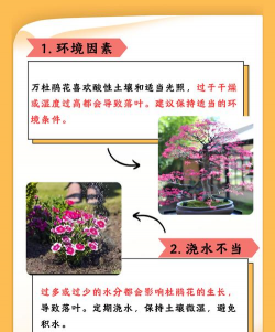 杜鹃花枯死怎么回事 杜鹃花枯死怎么回事